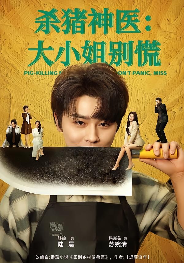 杀猪神医，大小姐别慌(全集)