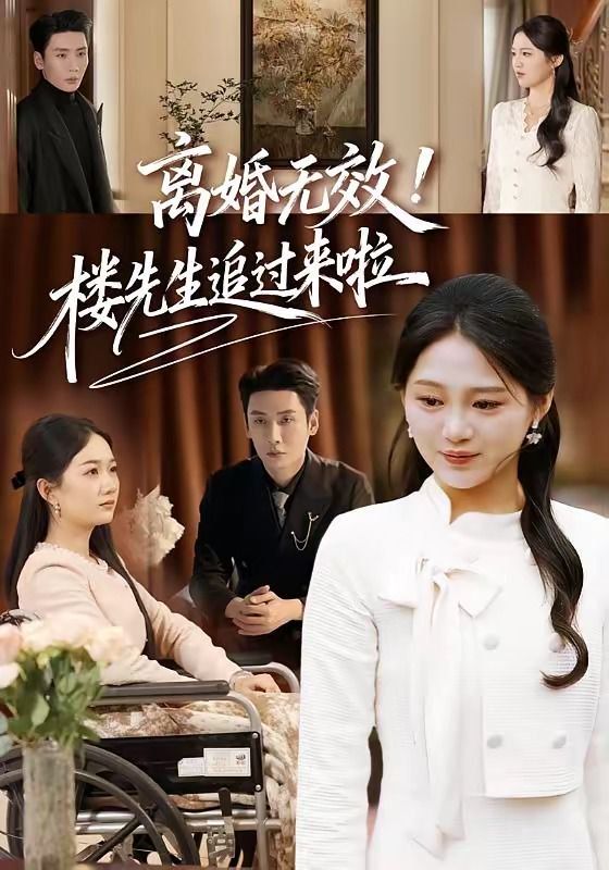 离婚无效！楼先生追过来啦(全集)