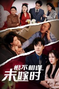 恨不相逢未嫁时30集(全集)